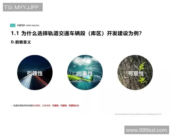 前瞻|关于第12赛季季前测验,你需求知道的一切常识