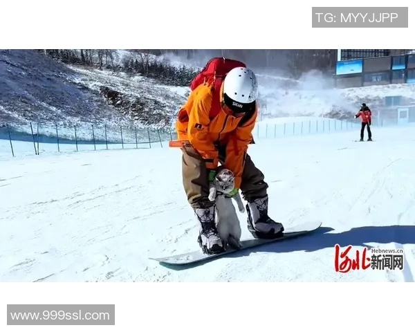 卡雷拉斯：我的方位是左面卫，但能习惯教练在任何时候的要求